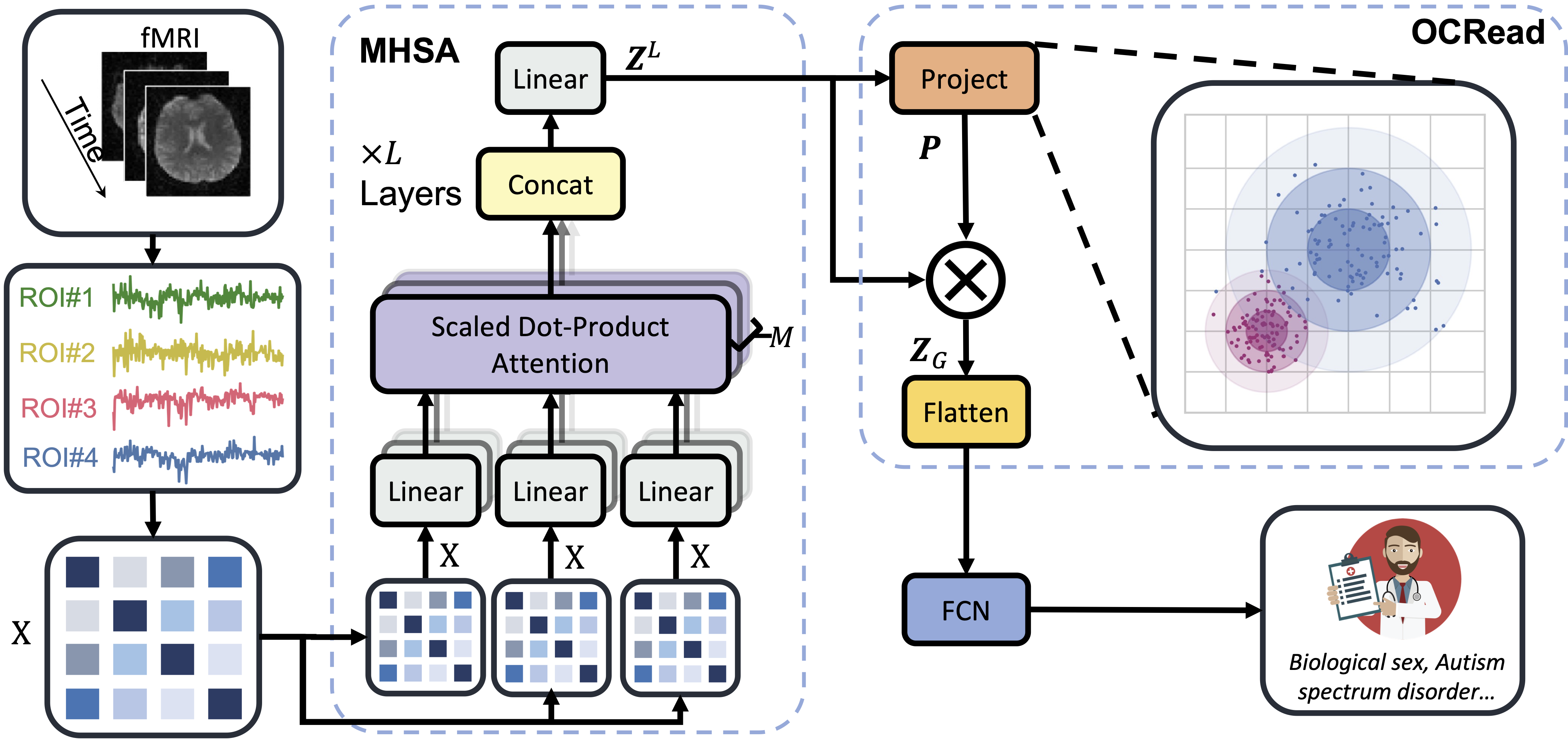 Brain Network Transformer