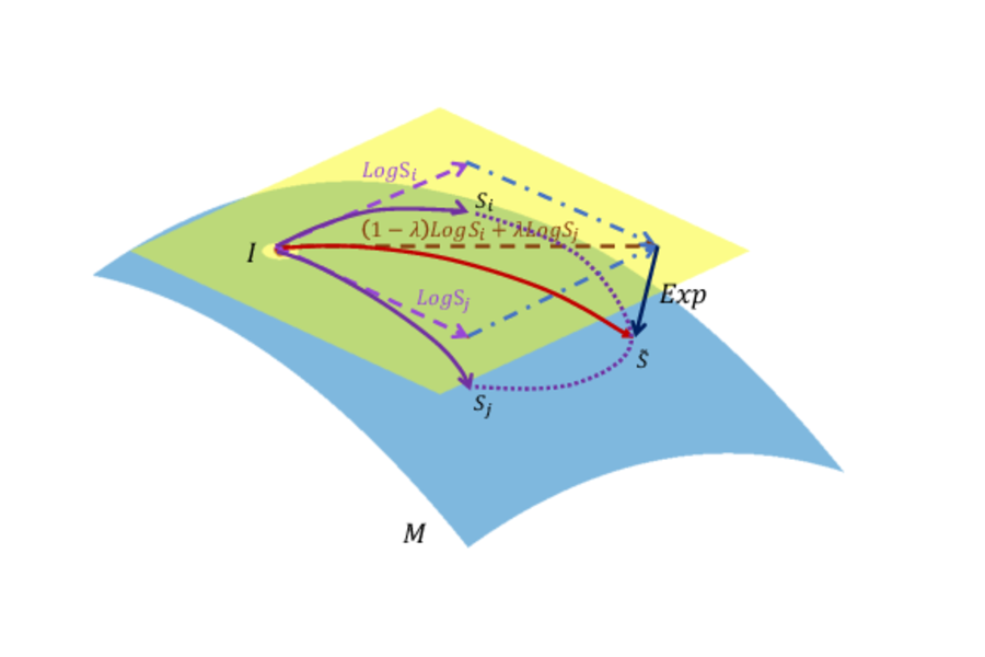 R-Mixup: Riemannian Mixup for Biological Networks