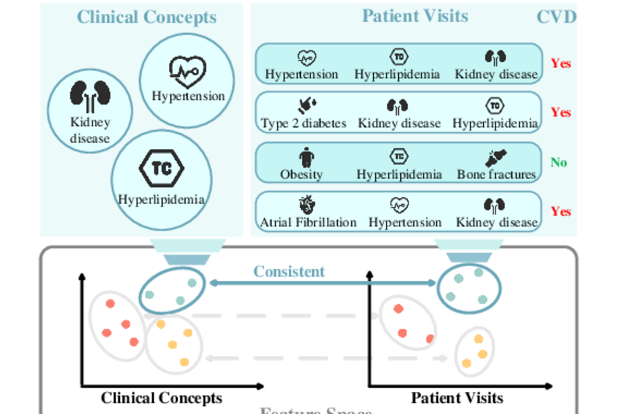TACCO: Task-guided Co-clustering of Clinical Concepts and Patient Visits for Disease Subtyping based on EHR Data