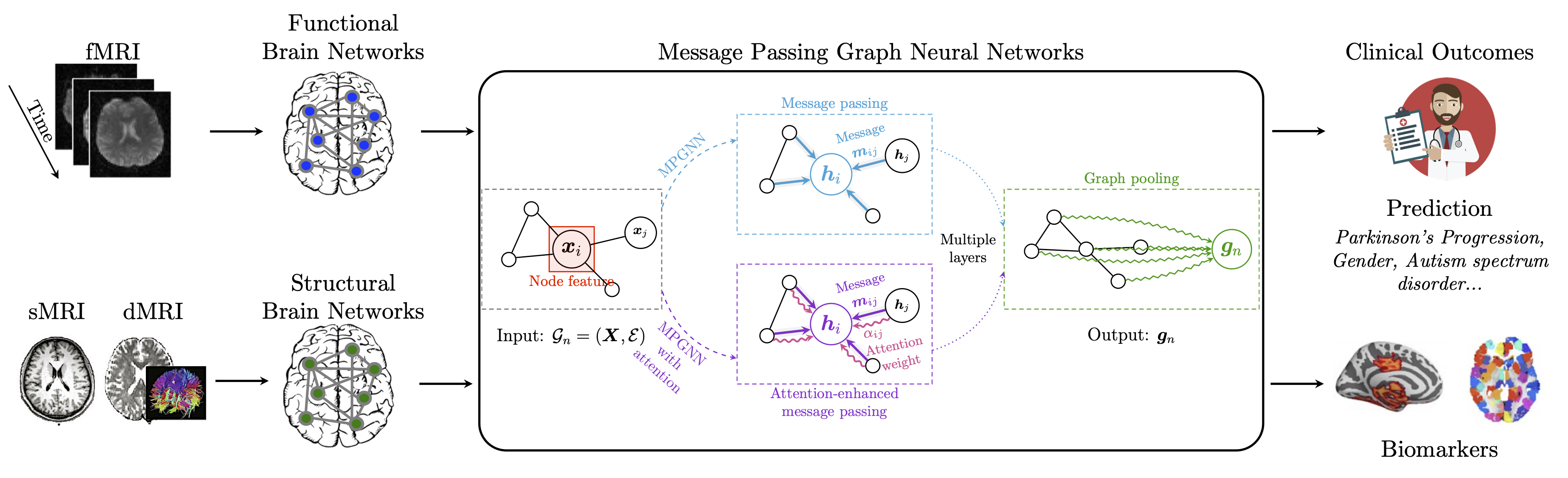 Brain Network Analysis with Graph Neural Network